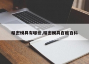 精密模具有哪些,精密模具百度百科