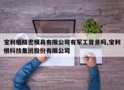 宝利根精密模具有限公司有军工背景吗,宝利根科技集团股份有限公司