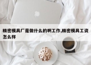 精密模具厂是做什么的啊工作,精密模具工资怎么样