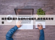 精密模具图片及结构介绍图片,精密模具有哪些