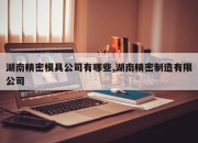 湖南精密模具公司有哪些,湖南精密制造有限公司