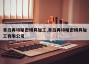 青岛再特精密模具加工,青岛再特精密模具加工有限公司