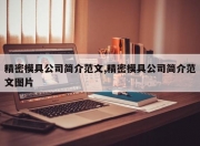 精密模具公司简介范文,精密模具公司简介范文图片