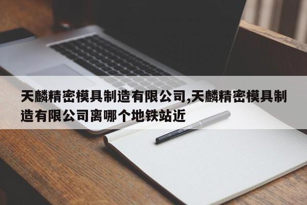天麟精密模具制造有限公司,天麟精密模具制造有限公司离哪个地铁站近