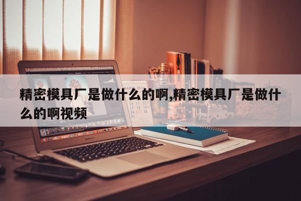 精密模具厂是做什么的啊,精密模具厂是做什么的啊视频
