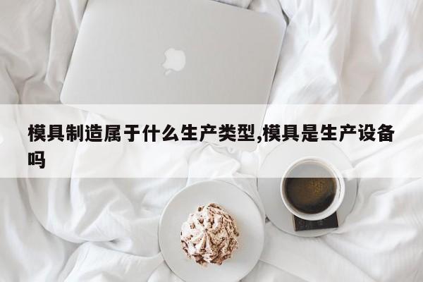模具制造属于什么生产类型,模具是生产设备吗