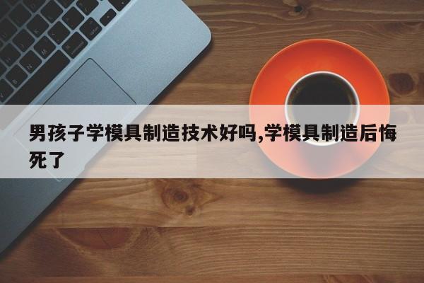 男孩子学模具制造技术好吗,学模具制造后悔死了