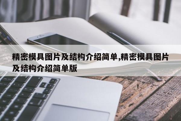 精密模具图片及结构介绍简单,精密模具图片及结构介绍简单版