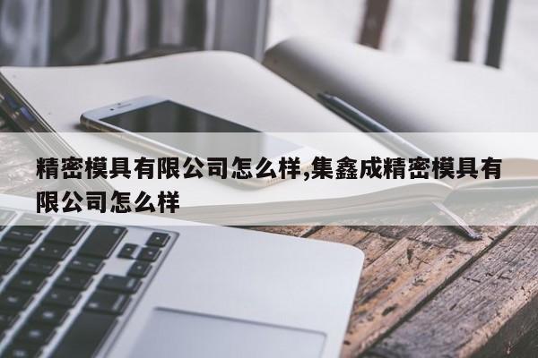精密模具有限公司怎么样,集鑫成精密模具有限公司怎么样