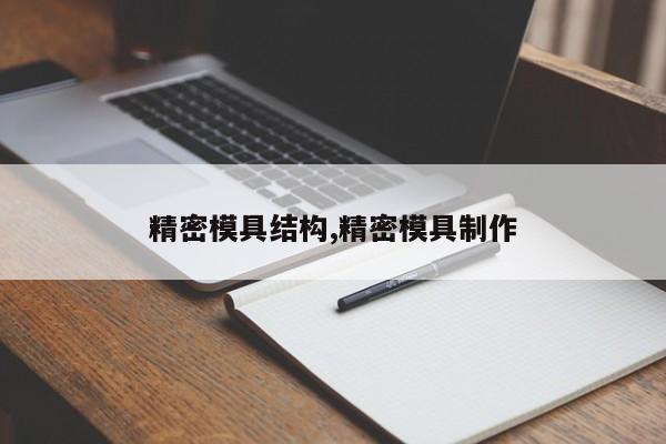 精密模具结构,精密模具制作