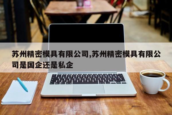 苏州精密模具有限公司,苏州精密模具有限公司是国企还是私企