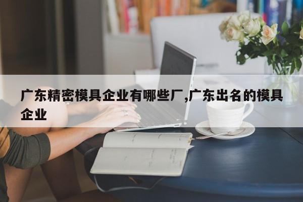 广东精密模具企业有哪些厂,广东出名的模具企业