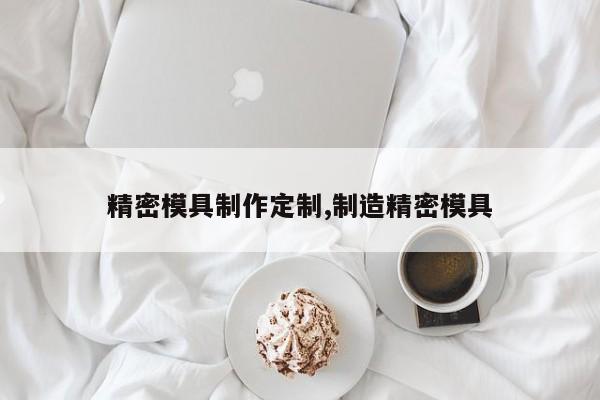 精密模具制作定制,制造精密模具