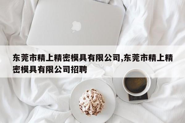 东莞市精上精密模具有限公司,东莞市精上精密模具有限公司招聘