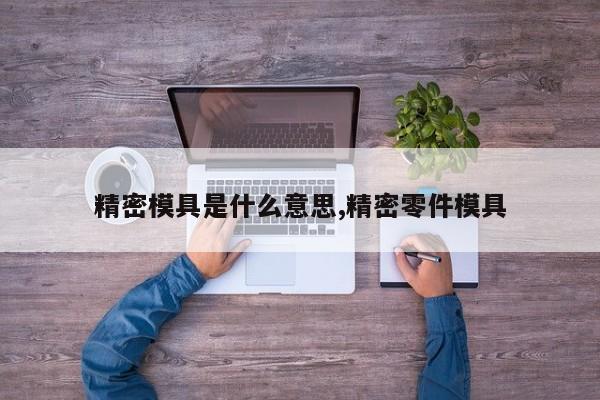 精密模具是什么意思,精密零件模具