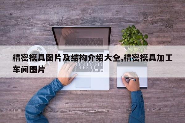 精密模具图片及结构介绍大全,精密模具加工车间图片