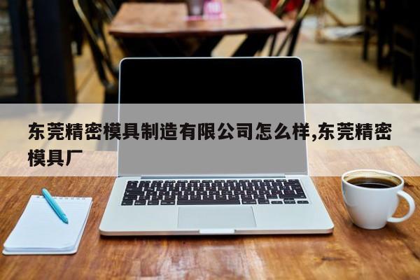 东莞精密模具制造有限公司怎么样,东莞精密模具厂