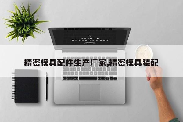 精密模具配件生产厂家,精密模具装配