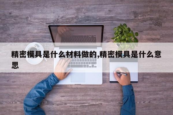 精密模具是什么材料做的,精密模具是什么意思