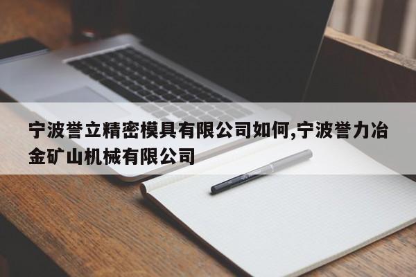 宁波誉立精密模具有限公司如何,宁波誉力冶金矿山机械有限公司