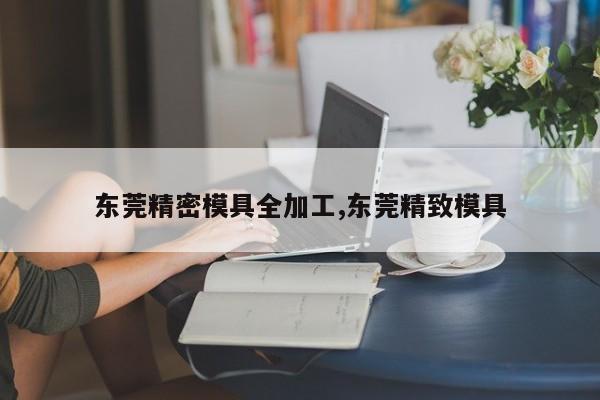 东莞精密模具全加工,东莞精致模具