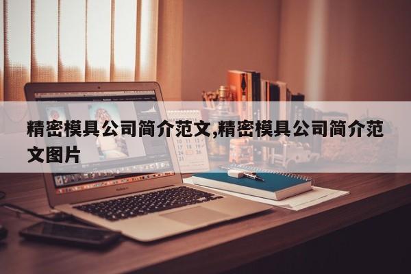 精密模具公司简介范文,精密模具公司简介范文图片